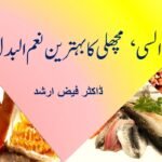 اللہ کی اطاعت اور مخلوق پر انحصار سے اجتناب