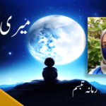 چین کبھی بھی امریکہ کو پیچھے نہیں چھوڑ سکتا