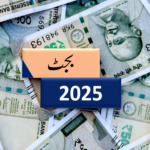 سیدہ زینب سلام اللہ علیہا میدانِ کربلا سے دربارِ یزید تک ایک تاریخ ساز کردار
