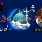 ابھئے سنگھ کا بڑادعویٰ: ملکی پور میں بی جے پی کی جیت یقینی