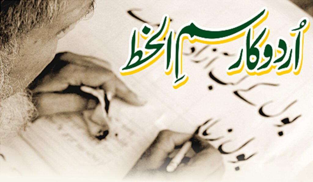 ناگری خط میں اردو کا ادبی سرمایہ’بونسائی‘ ہو کر رہ جائے گا 6