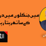 جسٹس یشونت ورما کے گھر سے خطیر رقم آمد ہونے کا دعویٰ