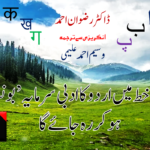 نائٹ کلب میں قیامت خیز آگ! 51 افراد ہلاک،اے ڈی این کا شو ماتم میں بدل گیا