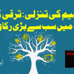 نیپال میں بادشاہت کی بحالی کا طوفان! کاٹھمنڈو میں شدید جھڑپیں، فوج تعینات