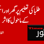 چانسلر میرز کی امریکہ کو تنبیہ:جرمنی کے سیاسی معاملات میں مداخلت نہ کرے