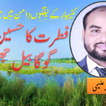 غزہ میں صحافیوں کا تحفظ اور آزادانہ رسائی کا مطالبہ
