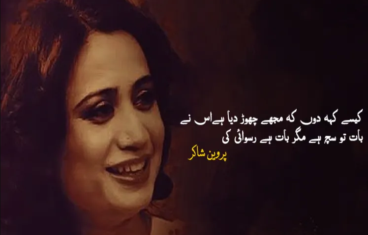 احساس تنہائی ،جزبات اور پروین شاکر 6