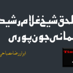 مسلمان اپنی حکمت عملی پر غور کریں