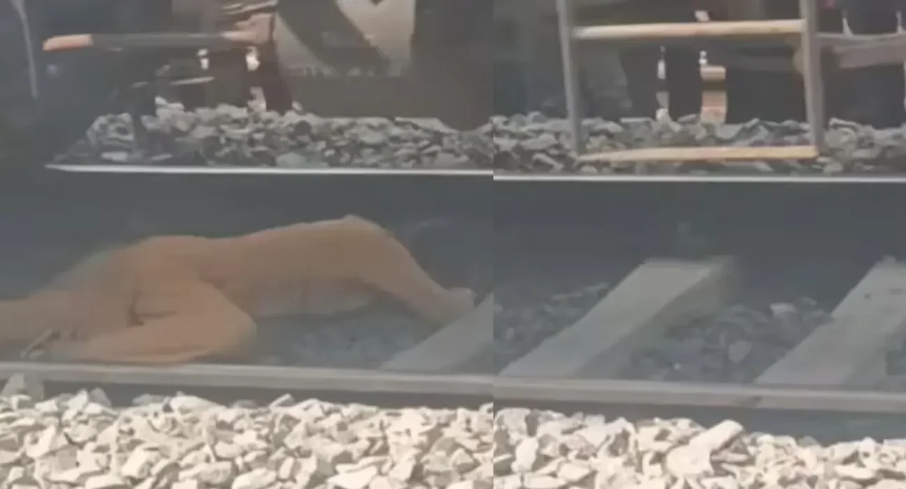بیگوسرائے اسٹیشن پرمال گاڑی گزری،خواتین اوربچہ معجزانہ طور پرمحفوظ 5