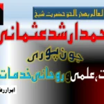 بہار میں مسلم پھیری فروش کا قتل، ہجومی تشدد پر 11 افراد گرفتار