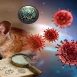 ممتا بنرجی کا بی جے پی کے خلاف نئی تحریک کا اعلان
