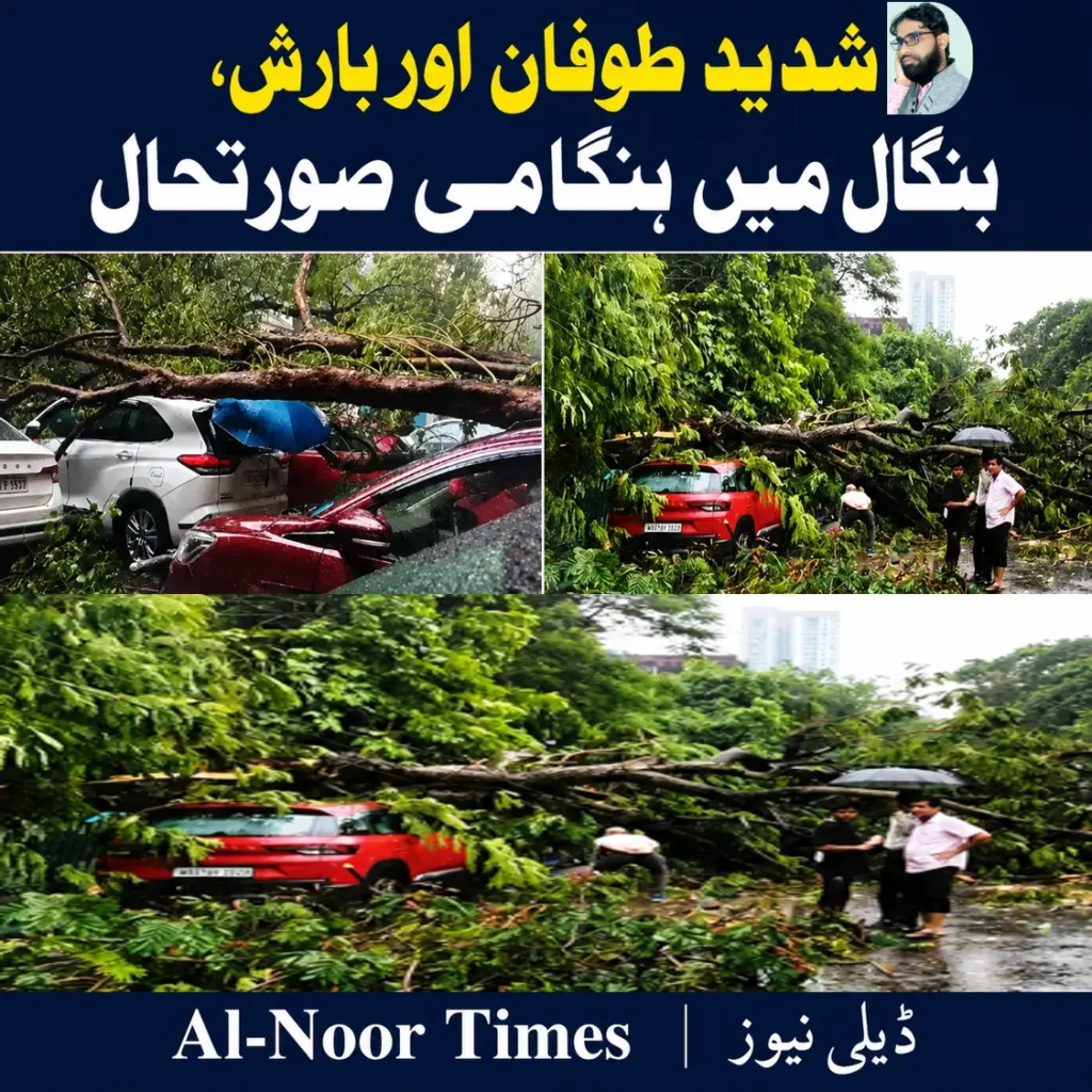 مغربی بنگال میں آندھی، بارش اور بجلی نے تباہی مچادی 6